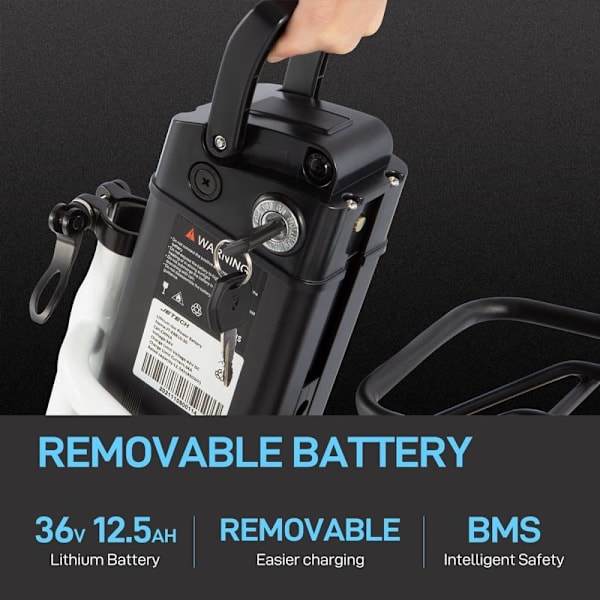 Retro elektrisk bycykel DYU C6, motor 36V 250W, med kurv og bagagebærer