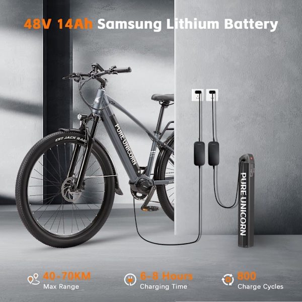 Elpendlarcykel PURE UNICORN U6, 48V 500W mittmotor, 29", grå