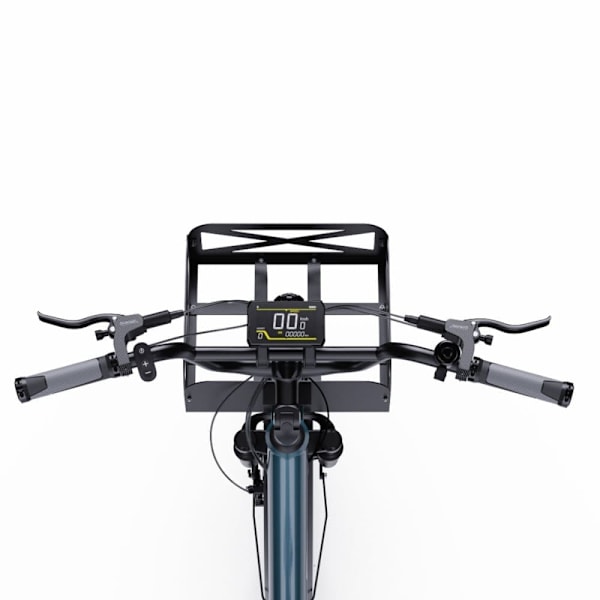 Ladcykel OneSport OT01, 20", Longtail, 650W motor 48V 27Ah batteri 25 km/t
