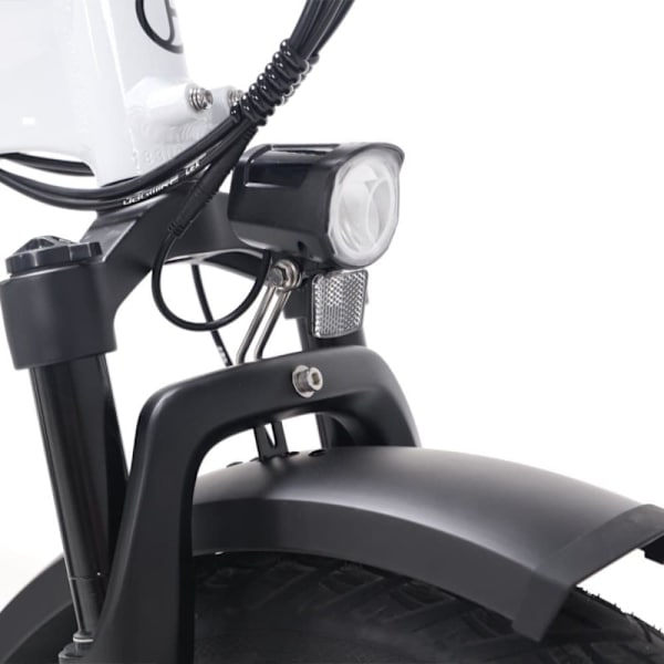 Elektrisk trehjuling för last JOBOBIKE Triker, Bafang-motor, för seniorer
