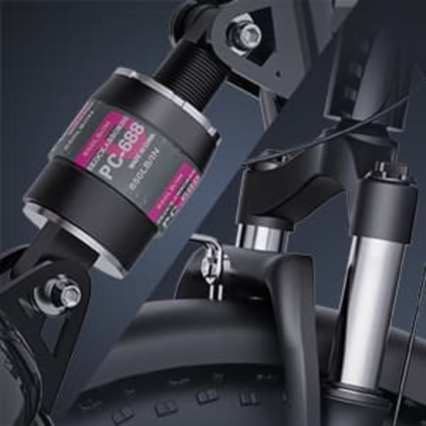 Elcykel RIDSTAR FM001, 2-sits, 20", 1000W motor, 48V 15Ah batteri, feta däck