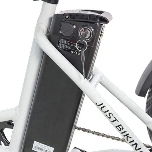 Elektrisk trehjuling för last JOBOBIKE Triker, Bafang-motor, för seniorer