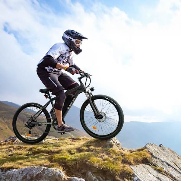 Elcykel iSinwheel M10 - 26" - 250W 36V 10.4Ah