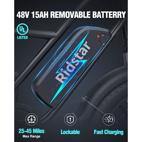 Elcykel RIDSTAR FM001, 2 sæder, 20", 1000W motor, 48V 15Ah batteri, tykke dæk