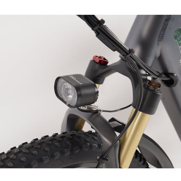 Sähköpyörä CMACEWHEEL TP26Mini, 750W 17Ah akku, harmaa