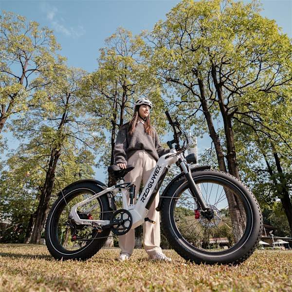 El-mountainbike RZOGUWEX S7, 48V 25AH batteri, 1000W motor, 26" feta däck, grå