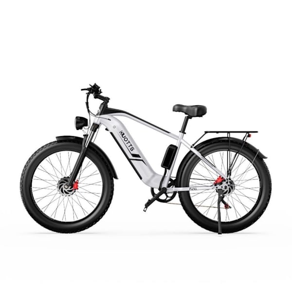 Sähkömaastopyörä DUOTTS F26, 26", 48V 750W * 2 kaksoismoottoria Hopea