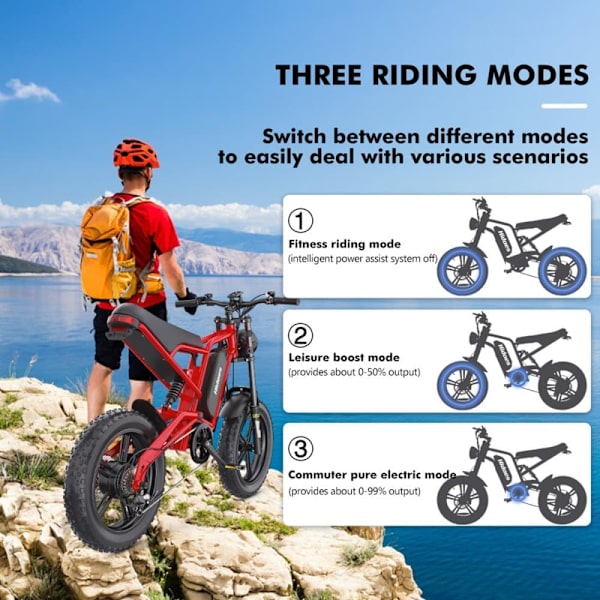 Elektrisk Dirt Bike Hidoes B6 - 20" - 1200W 48V 17.5Ah - Rød