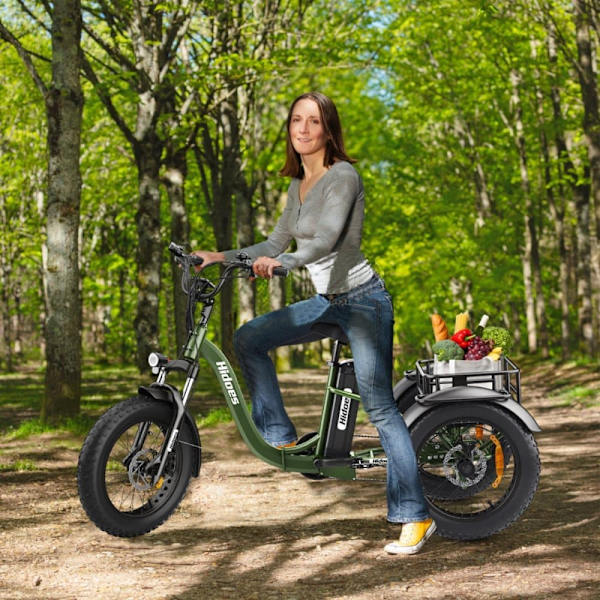 Sammenklappelig elektrisk trehjulet cykel Hidoes ET1 - 750W 48V 20Ah - Grøn