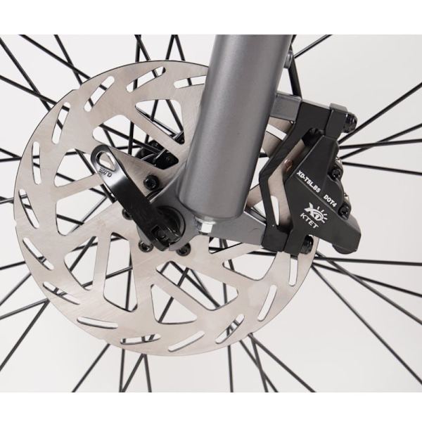 Sähköpyörä CMACEWHEEL F26, moottori 500 W, hydrauliset öljyjarrut - harmaa