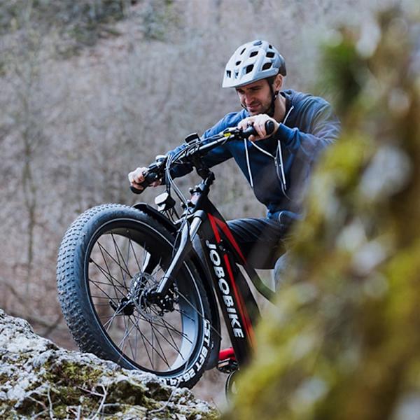 Elektrisk fatbike JOBOBIKE Robin ST, Steg-Thru, Bafang 48V 250W 13Ah, För kvinnor
