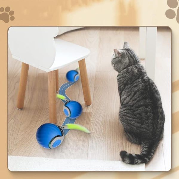 Kattleksak - Aktiveringsboll / Boll som rör sig Leksaksboll till Katt