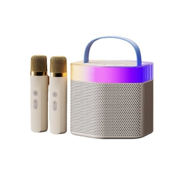 Philips TAS2519 karaokehøjttaler med mikrofon: Bluetooth-forbindelse, nyd KTV derhjemme