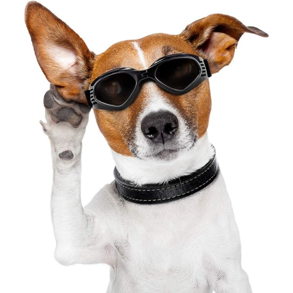 Hundglasögon, solglasögon för husdjur, hopfällbara hundglasögon UV-skydd S