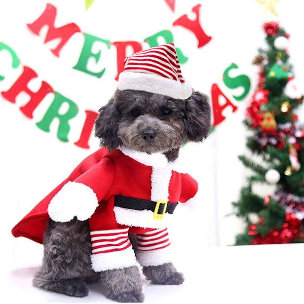 Hund och katt tomtekläder, söt tomte för husdjur