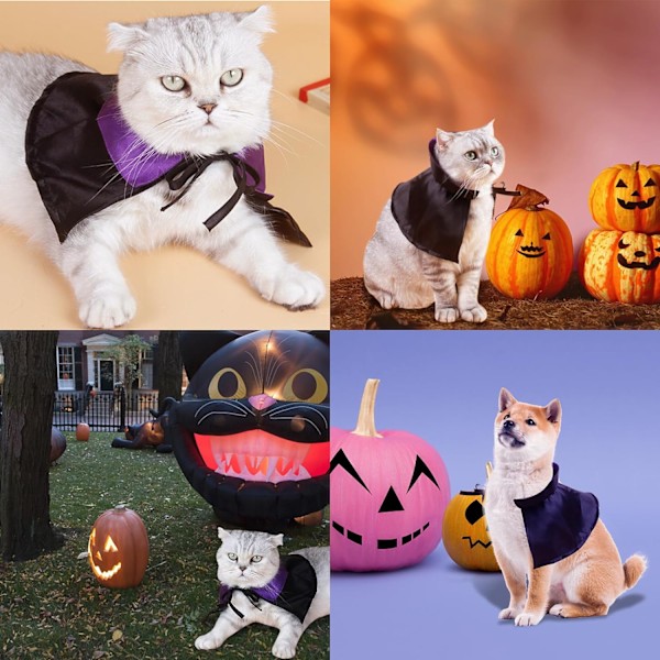 (Magiker) Hund Halloween Kostyme, Katt Trollmann Kappe Kostyme Pet Hal