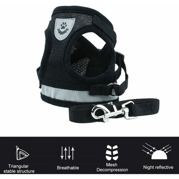 Sort kattesel, kattesel med refleksvest