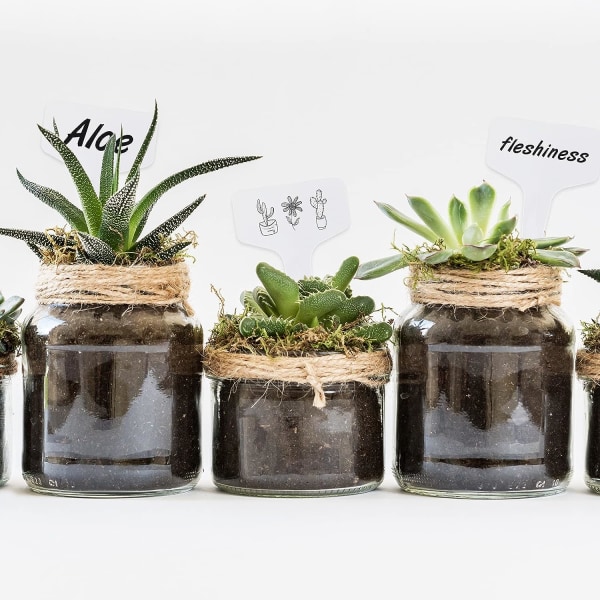 100 stk plantetiketter frøplantetiketter grønnsakshageplanting W