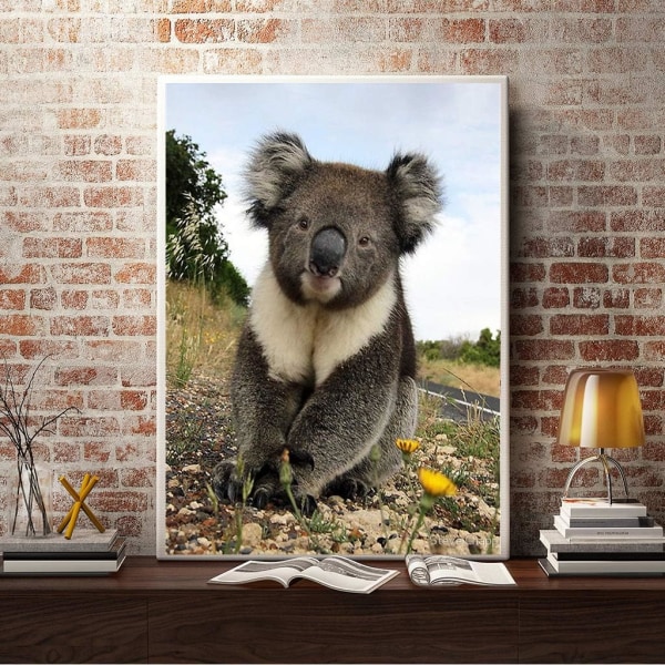 5D timanttimaalaussetti aikuisille ja aloittelijoille Koala Full Diam