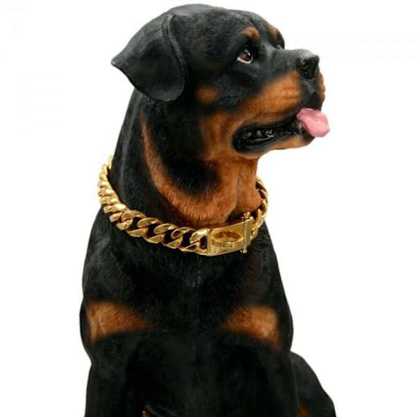 1 st guld hundhalsband med säker spänndesign, tuggbeständig