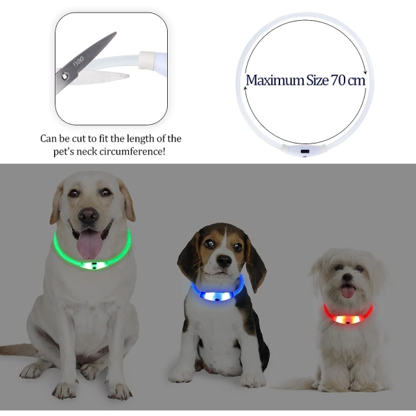 LED-upplyst hundhalsband 4 färger, laddningsbart upplyst hundhalsband