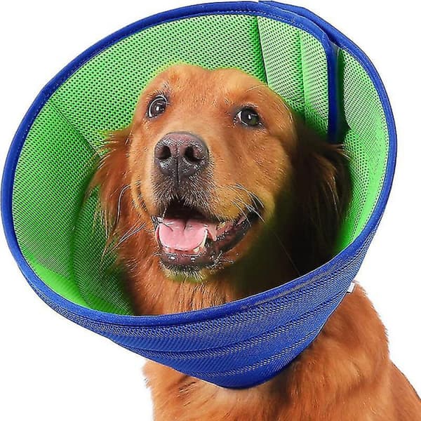 1 stk. Bite Protection Cone Collar, Katte Halsbånd Anti-bite Beskyttelse