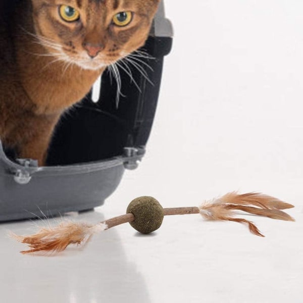 3 Kattuggpinnar Catnipboll med Pinne Kattmyntboll Leksaksmus