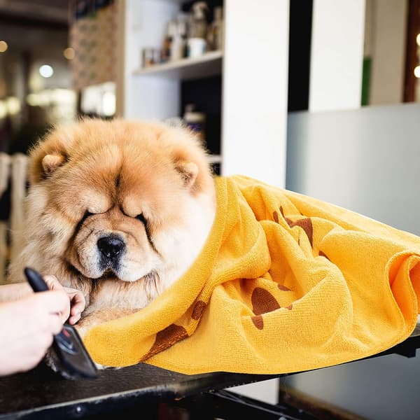 Hundehåndklæde Mikrofiber Håndklæde - Vaskbart Hunde Tæppe 2 Stykker - Hund