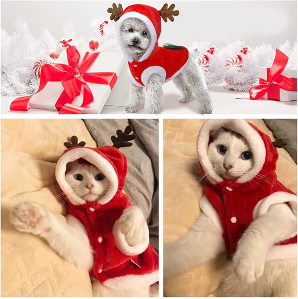 (M) Julekostume til hund og kat