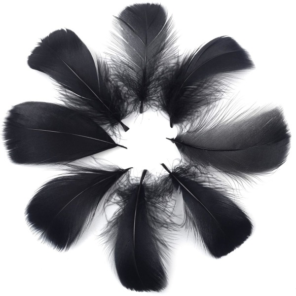 600 stykker fjer sort - naturlig - perfekt til tøj, hat