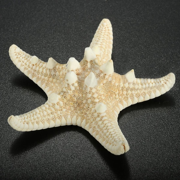 12 X Knutig sjöstjärna 5-7cm sjöstjärna strandbröllop display hantverk