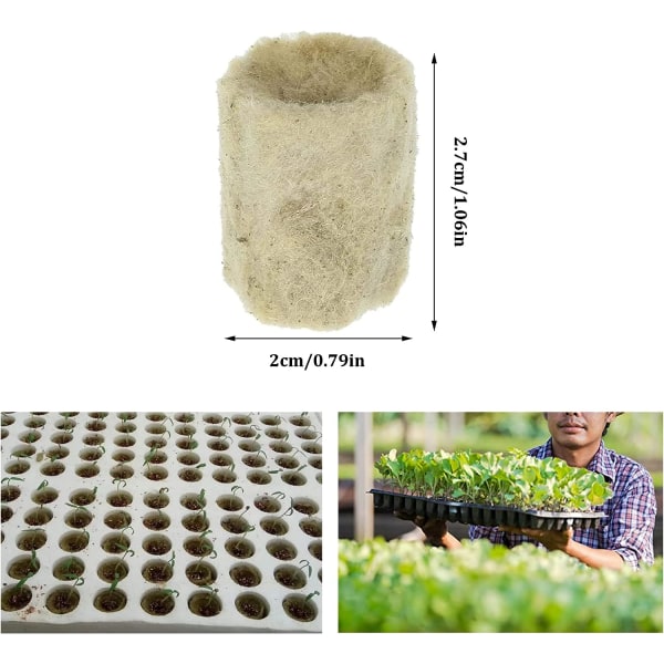 50 stk Hydroponiske Rockwool Cube Block Plugger Rockwools Voksende