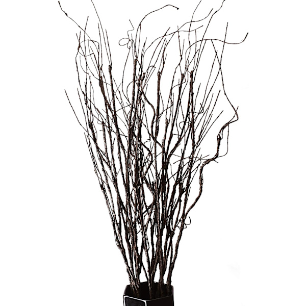 1 setti kuivaa koristeellista tekokasveja 30cm, DIY koriste
