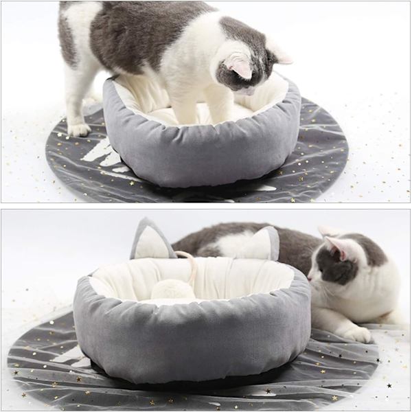 Kattbäddar Kattsäng Sovbädd Tvättbar Kattkudde Husdjur Kattungebäddar