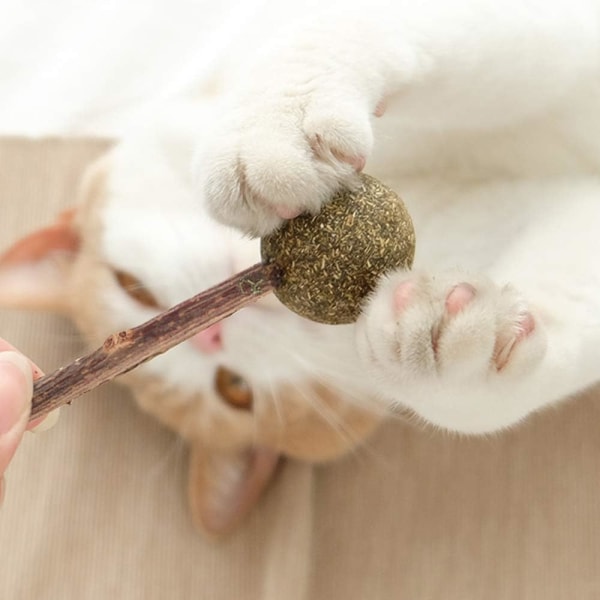 3 Kattdjur Catnip Snutt Kattdjur Matatabi Leksak Kattleksaker med S
