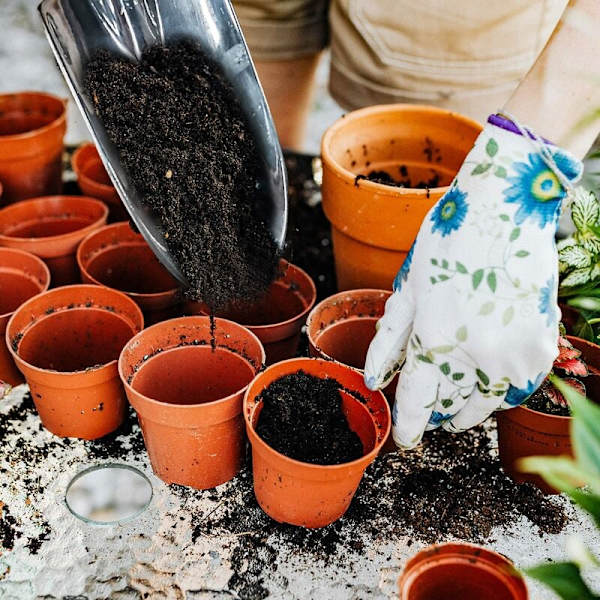 Rustfrit havehave skovl i rustfrit stål til plantning, omplantning, lugning
