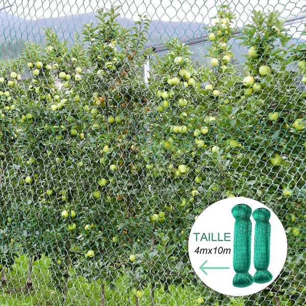 Fuglenet, 2 stk. 4*10m Grøn Have Fugleplante Net Beskyttelse
