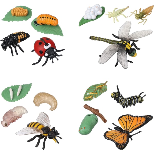 16-pack insektsleksakers livscykel för fjäril, bi, trollslända och L