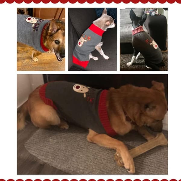 Hundtröjor, Hundvintertröja, Julmönstrad tröja, Wint