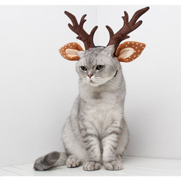 Julren katt huvudbonad, M30cm bågomkrets 30cm,