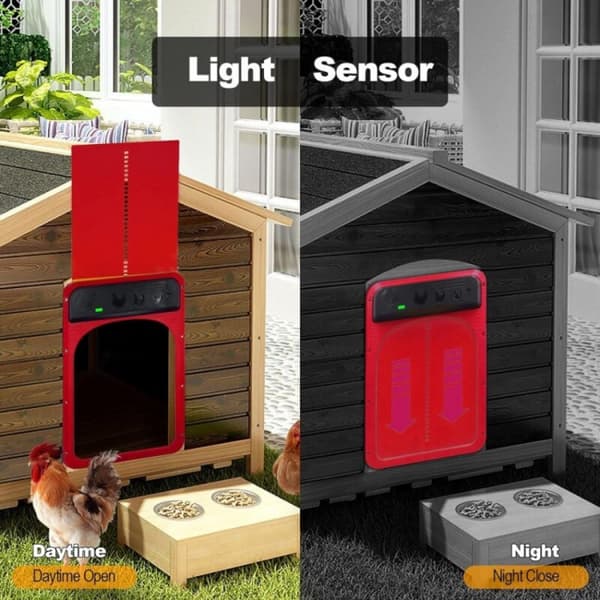 Automatisk röd hönshusdörr med solceller och timer