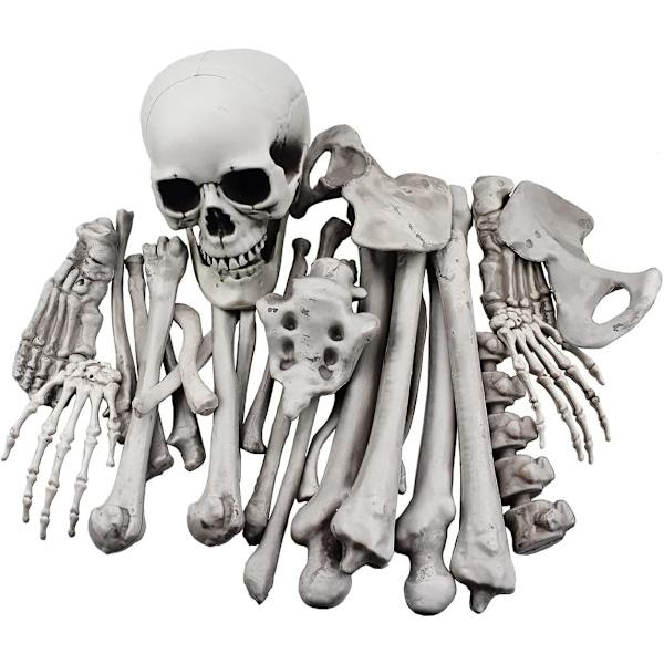 28 Skeletben og kranie til halloween dekoration eller uhyggelig gr
