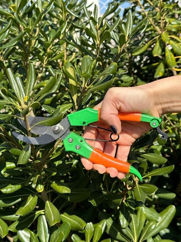 1 st grön trädgårdssax 19 cm rak blad - Ergonomisk
