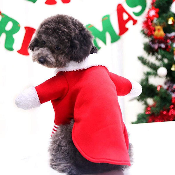 Hund och katt tomtekläder, söt tomte för husdjur