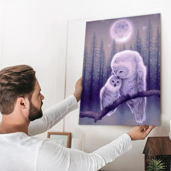 30*40cm Timanttimaalaus Keiju Eläimet, Timantti Palapeli Pöllö Pöllö Diam