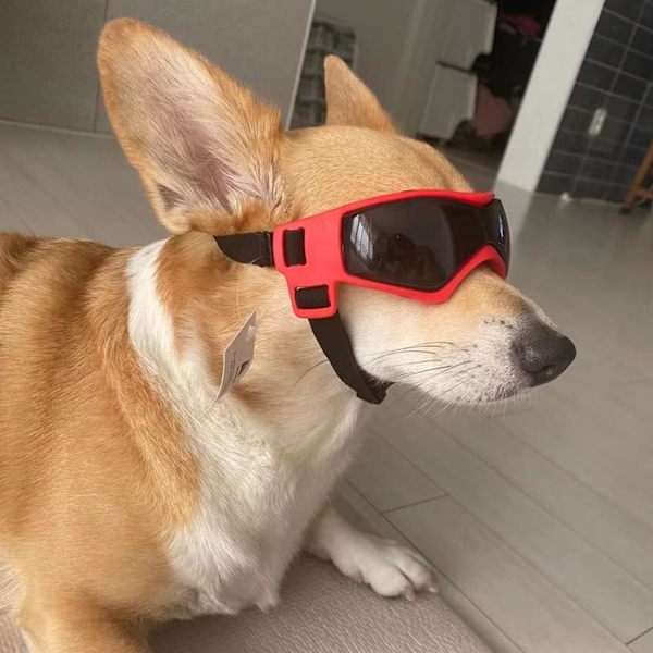 (Rød) Hund Solbriller Pug Briller med UV Beskyttelse til Store og Mellemstore