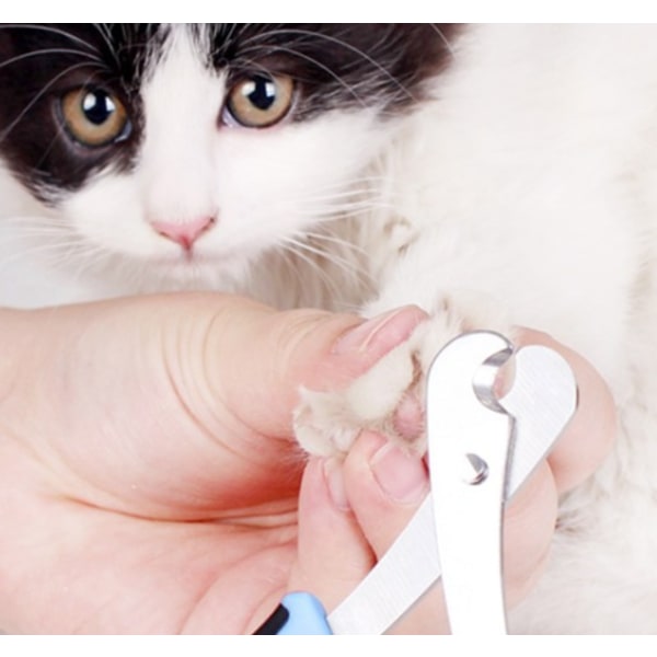 Profesjonell kattekloklipper med buet hode - for katter og små