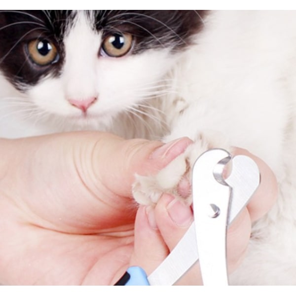 Professionel katteklo-klipper med buet hoved - til katte og sma