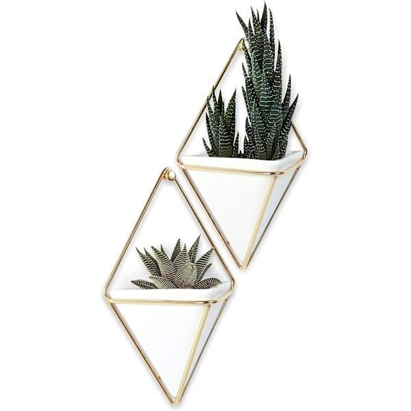 Geometrisk hängande planter och väggdekor för små växter, suckulenter