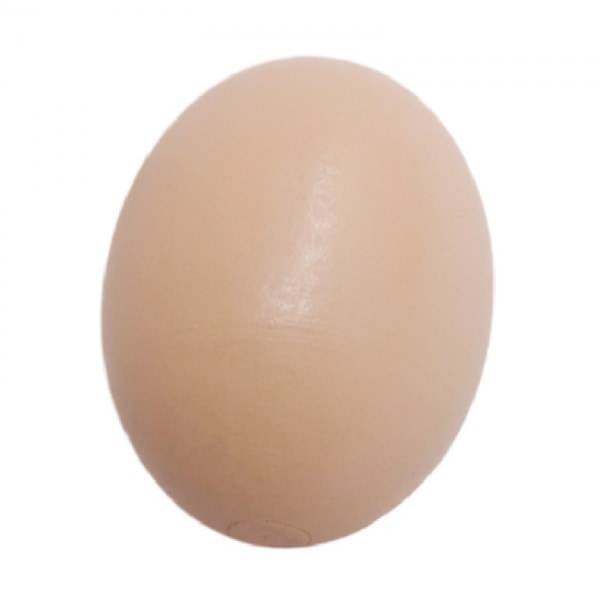 5 st Fake Egg Konstgjord Höns Fjäderfä Coop Plast Nest Bekvämt